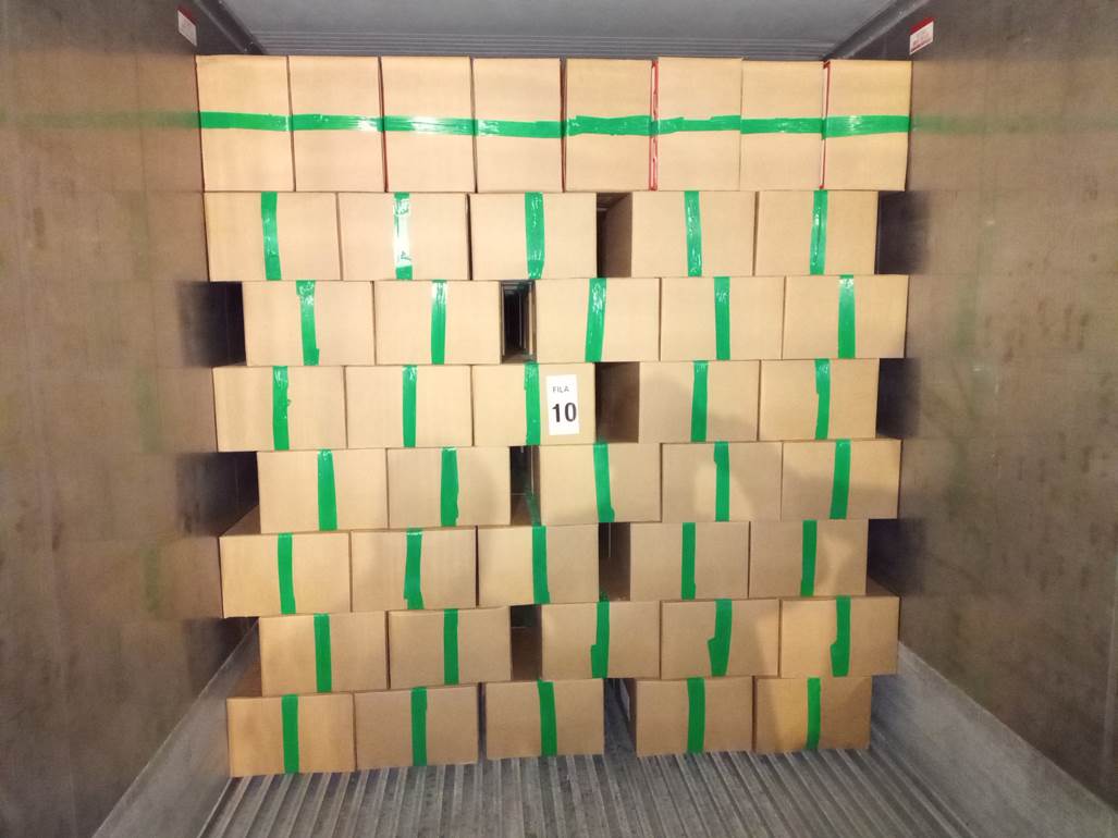 Imagen que contiene interior, peque�o, verde, ni�o

Descripci�n generada autom�ticamente