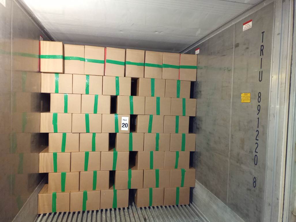 Imagen que contiene interior, techo, verde, peque�o

Descripci�n generada autom�ticamente