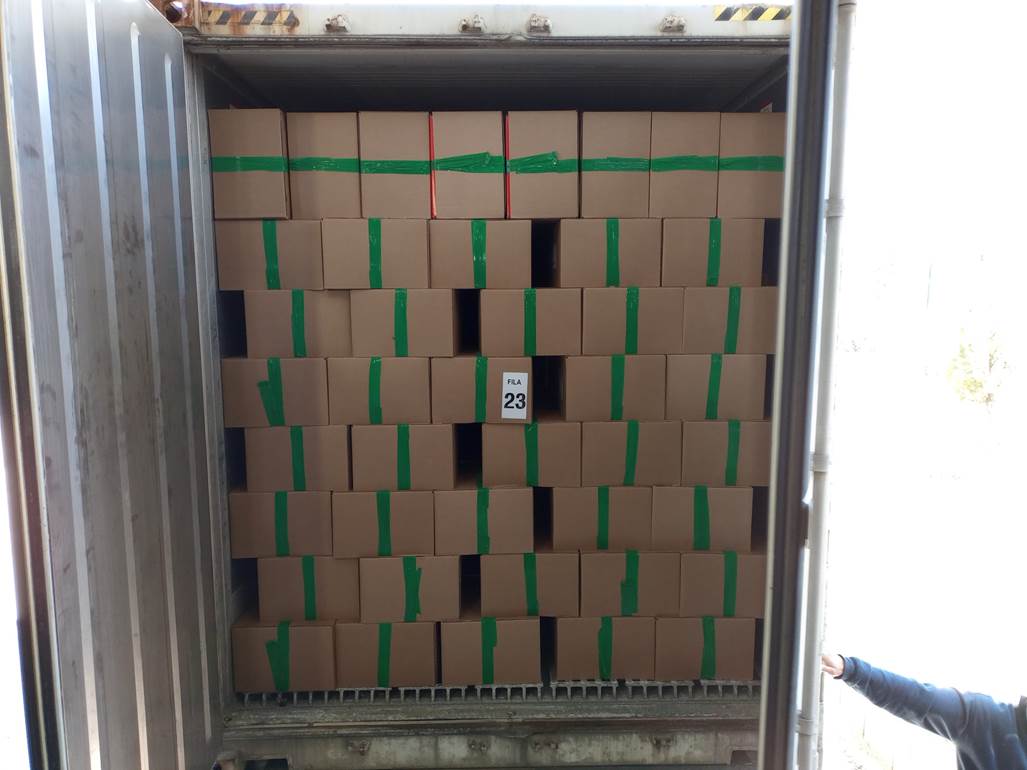 Imagen que contiene interior, ventana, verde, edificio

Descripci�n generada autom�ticamente