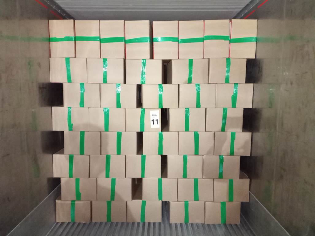 Imagen que contiene interior, con baldosas, verde, lego

Descripci�n generada autom�ticamente
