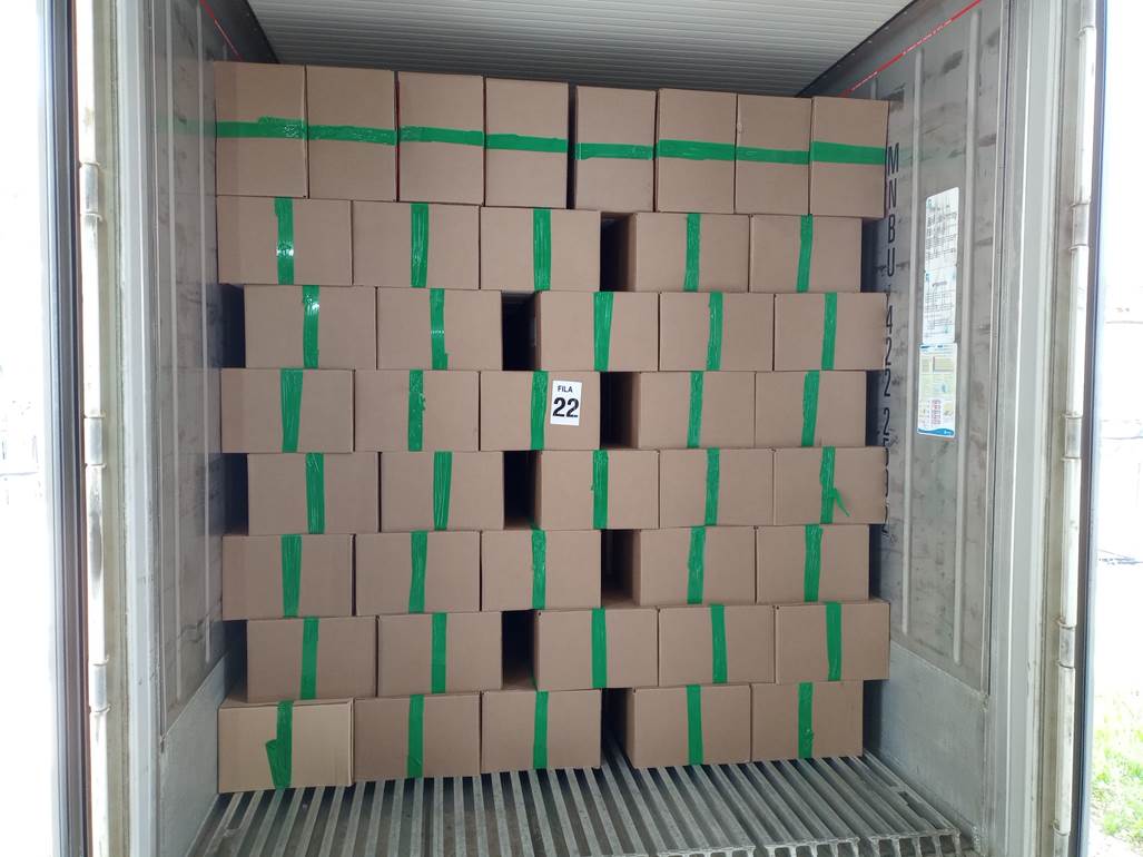 Imagen que contiene interior, con baldosas, verde, peque�o

Descripci�n generada autom�ticamente