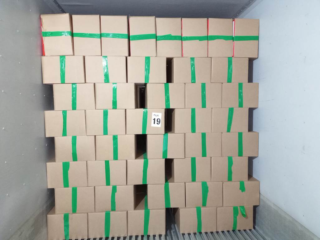 Imagen que contiene lego, verde, ni�o, colorido

Descripci�n generada autom�ticamente