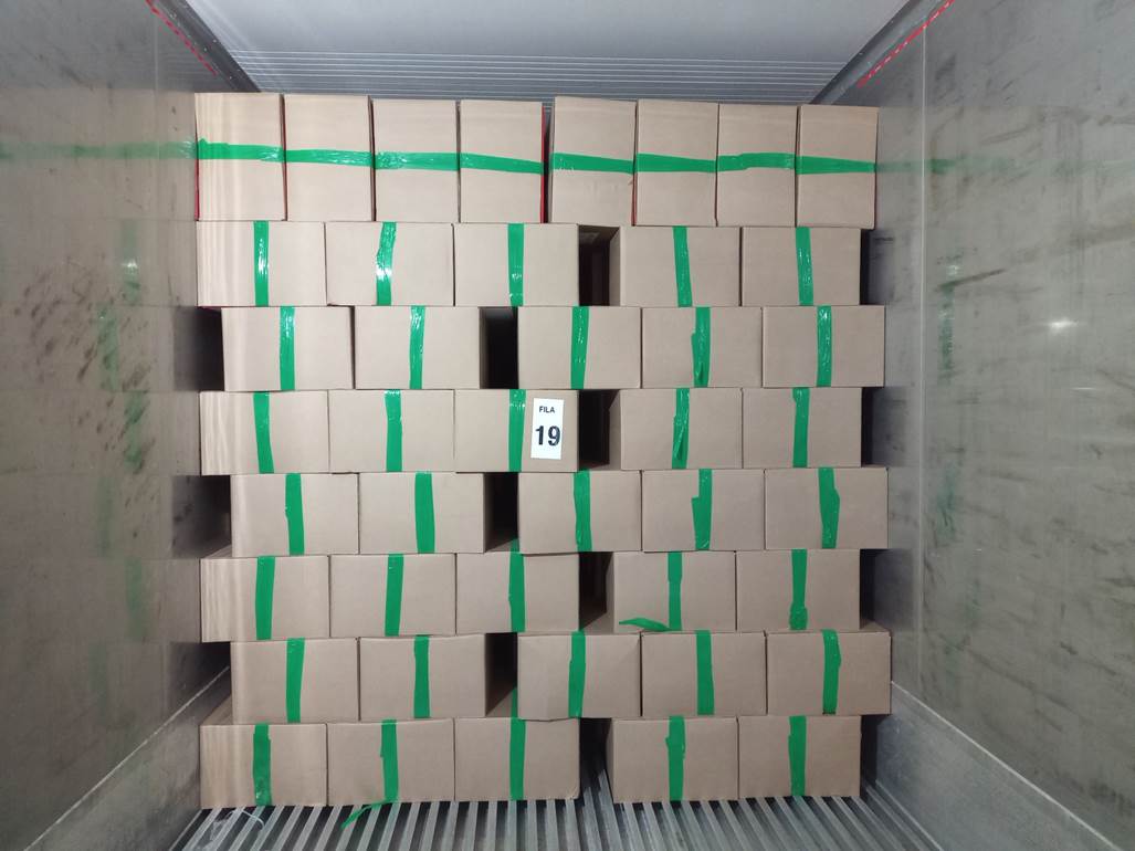 Imagen que contiene interior, edificio, con baldosas, verde

Descripci�n generada autom�ticamente