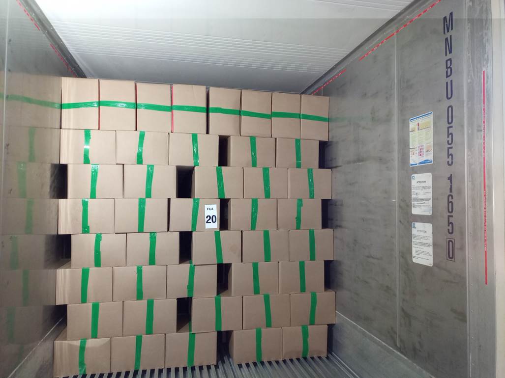 Imagen que contiene interior, verde, techo, con baldosas

Descripci�n generada autom�ticamente