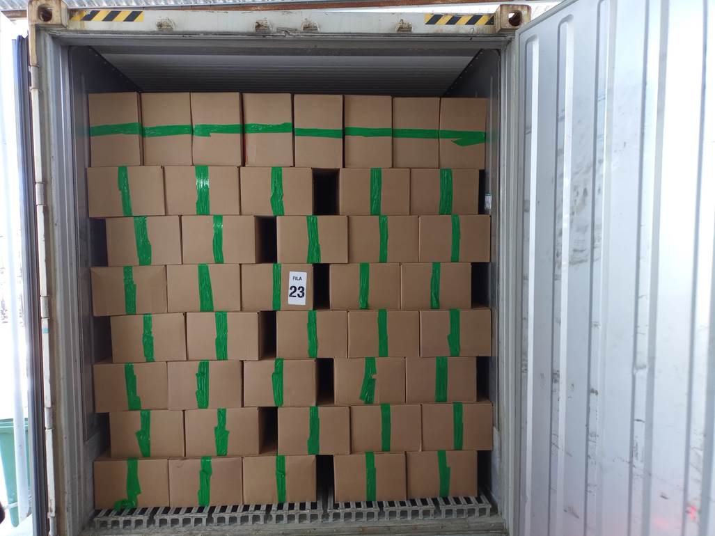 Imagen que contiene peque�o, verde, puerta, naranja

Descripci�n generada autom�ticamente
