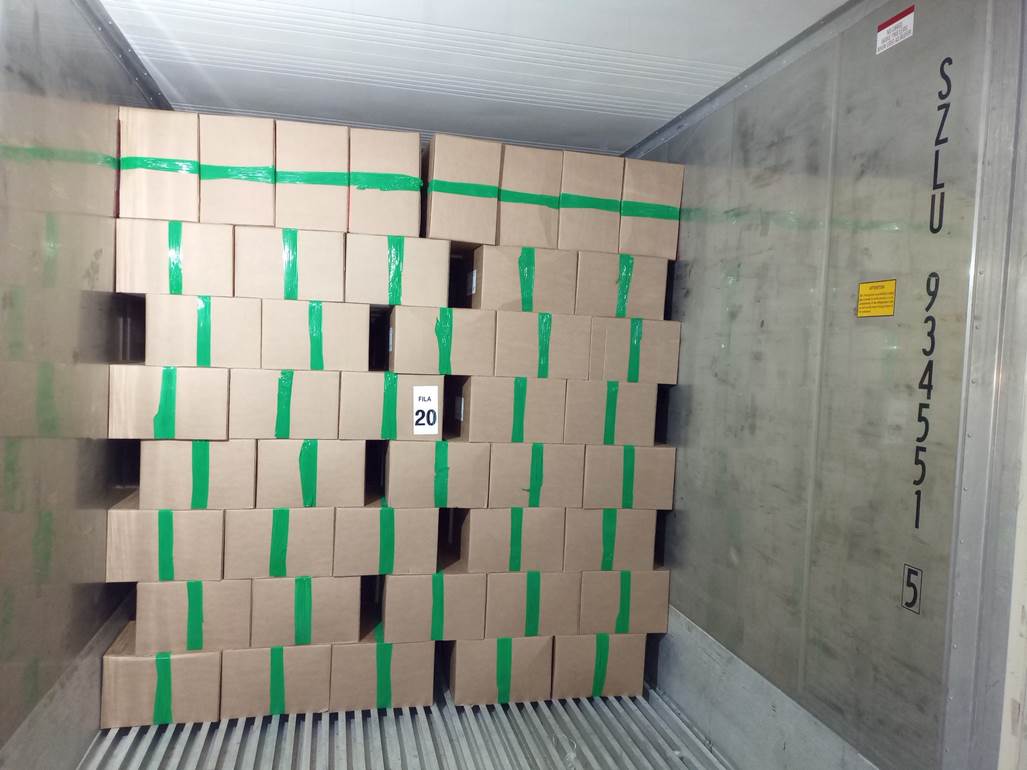 Imagen que contiene interior, verde, pequeño, cuarto
El contenido generado por IA puede ser incorrecto.