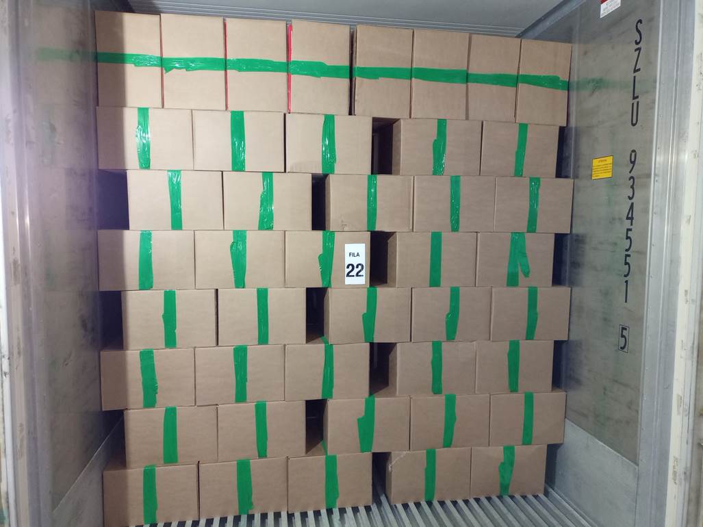 Imagen que contiene interior, edificio, verde, con baldosas
El contenido generado por IA puede ser incorrecto.