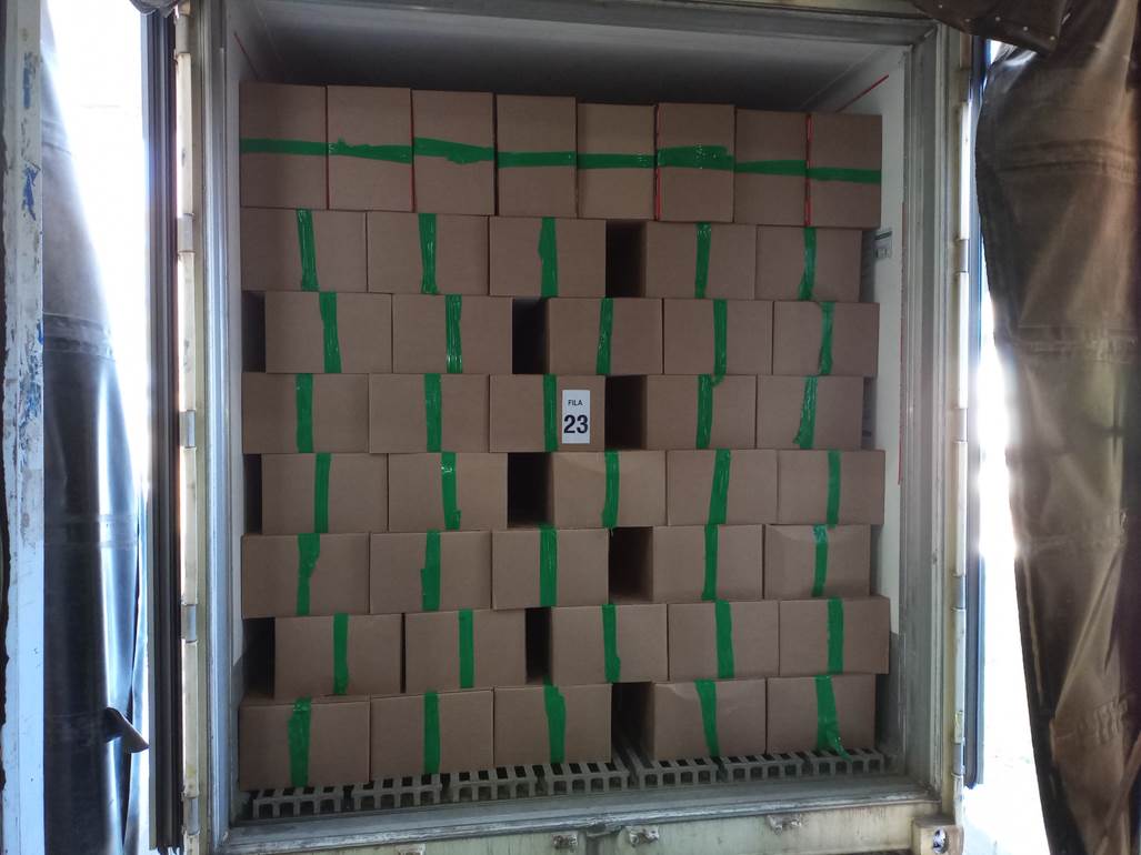 Imagen que contiene interior, verde, edificio, puerta
El contenido generado por IA puede ser incorrecto.