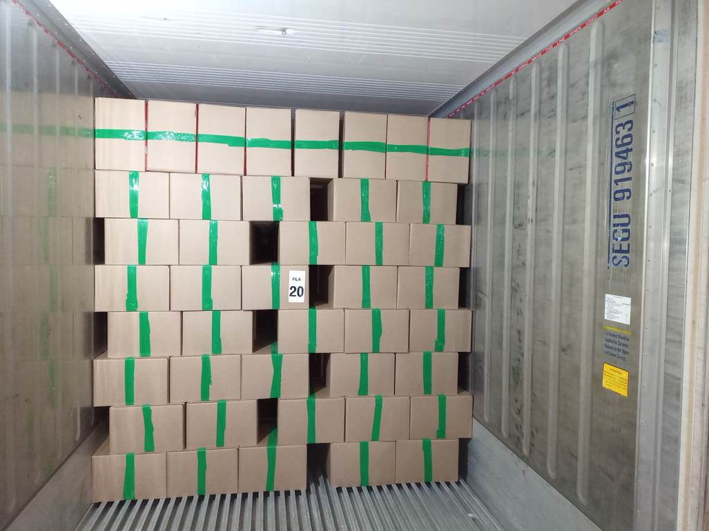 Imagen que contiene interior, edificio, verde, peque�o

El contenido generado por IA puede ser incorrecto.