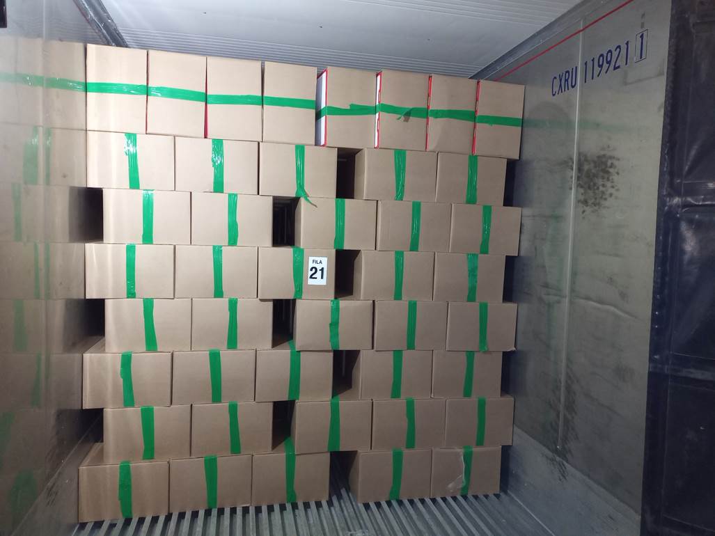 Imagen que contiene interior, verde, peque�o, colorido

El contenido generado por IA puede ser incorrecto.