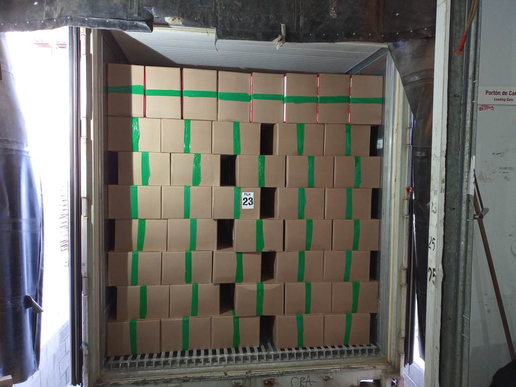 Imagen que contiene interior, peque�o, verde, puerta

El contenido generado por IA puede ser incorrecto.
