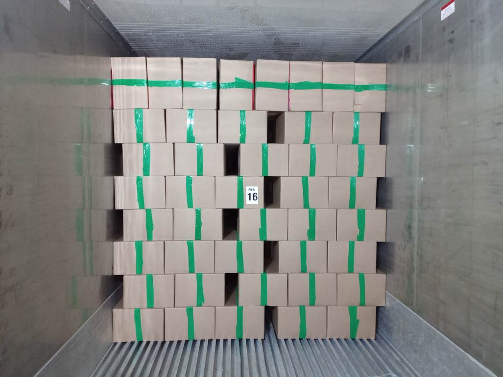 Imagen que contiene interior, edificio, con baldosas, verde

El contenido generado por IA puede ser incorrecto.