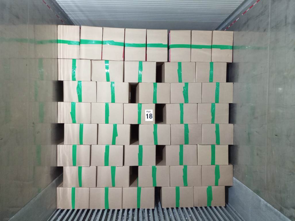 Imagen que contiene interior, edificio, verde, con baldosas

El contenido generado por IA puede ser incorrecto.